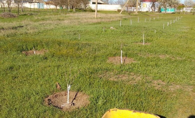 ������� � �������: ��� ������� ���������� ������ ����� �������