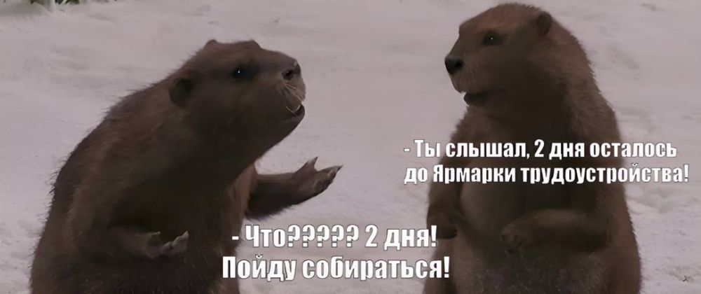 До старта Всероссийской ярмарки трудоустройства в Херсонской области осталось всего 2дня!