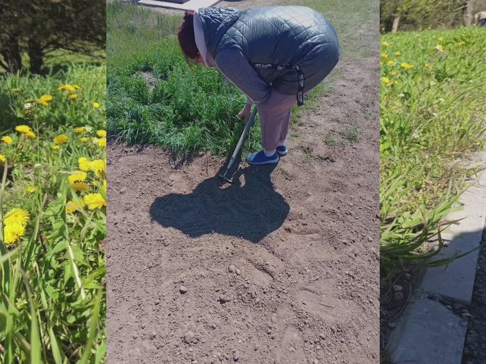 Учреждения культуры Чаплинского муниципального округа присоединились к акции "Международный субботник"