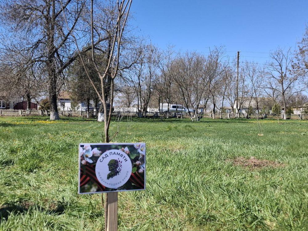 В Первой Константиновке зацветает "Сад памяти"!