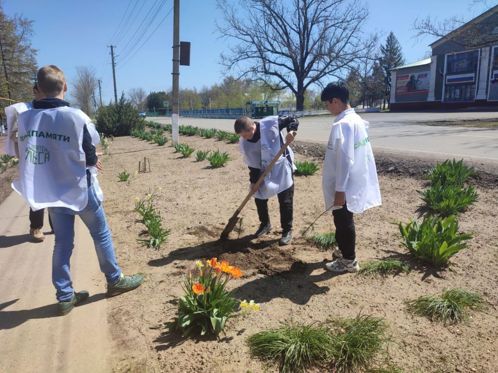 Акция "Сад памяти" прошла в Широковской школе