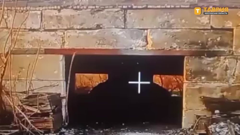 На Херсонском направлении расчет FPV-дронов группировки войск "Днепр" уничтожил БМП-1 ВСУ