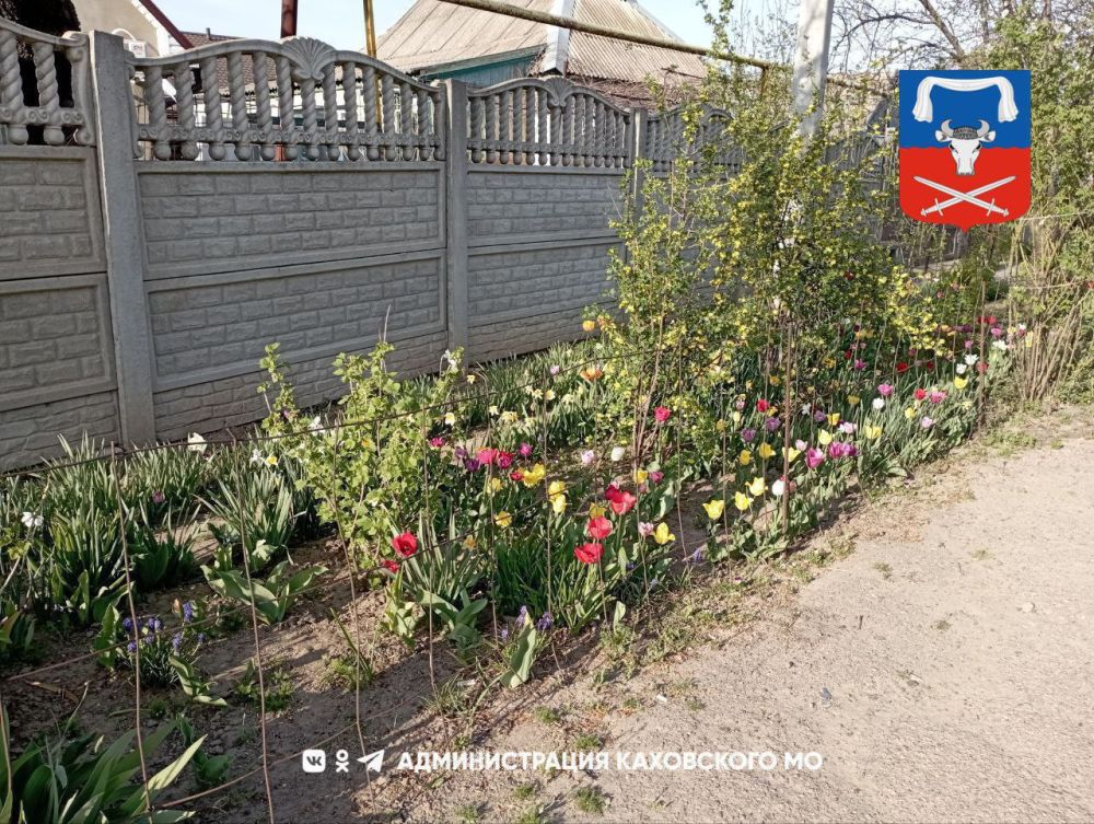 Доброе утро, жители Каховского муниципального округа!