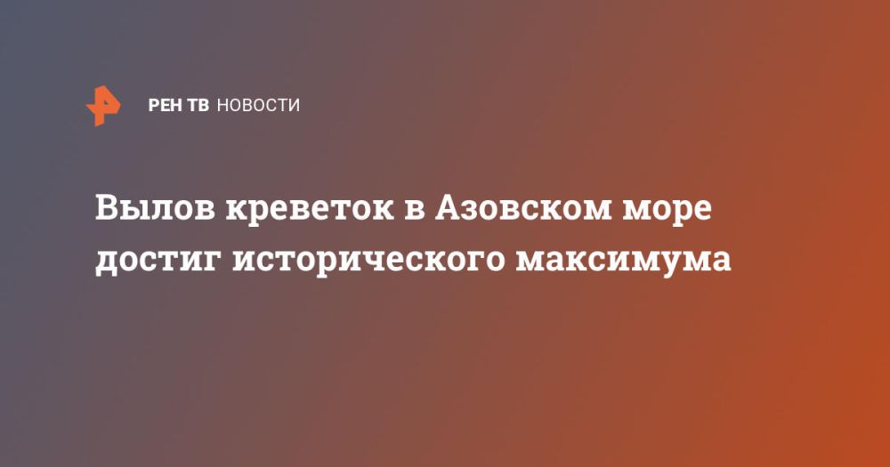 Вылов креветок в Азовском море достиг исторического максимума