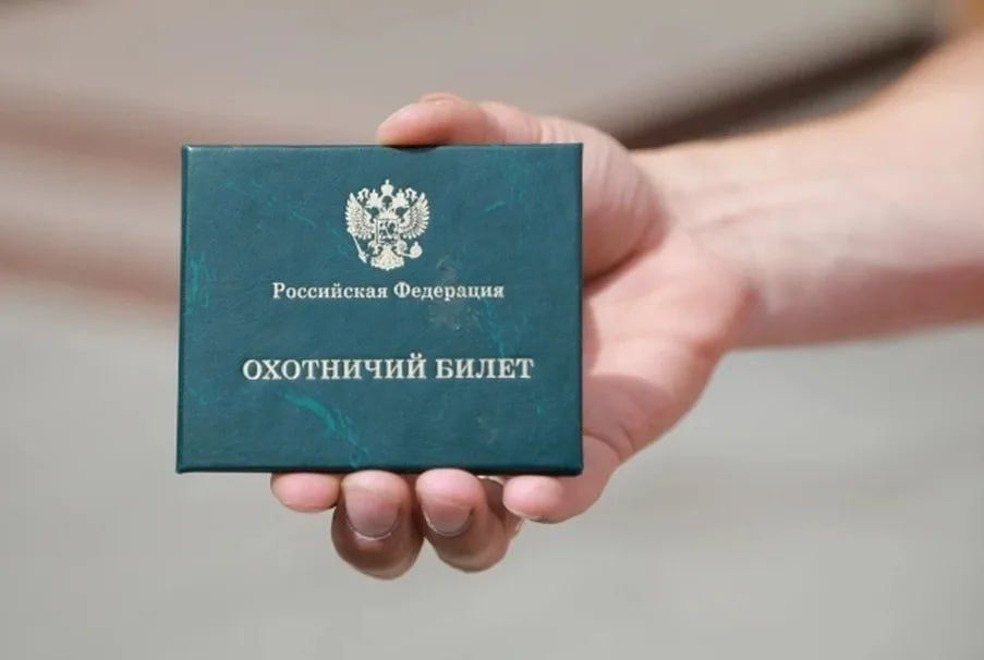 Получить охотничий билет в бумажном виде можно в МФЦ