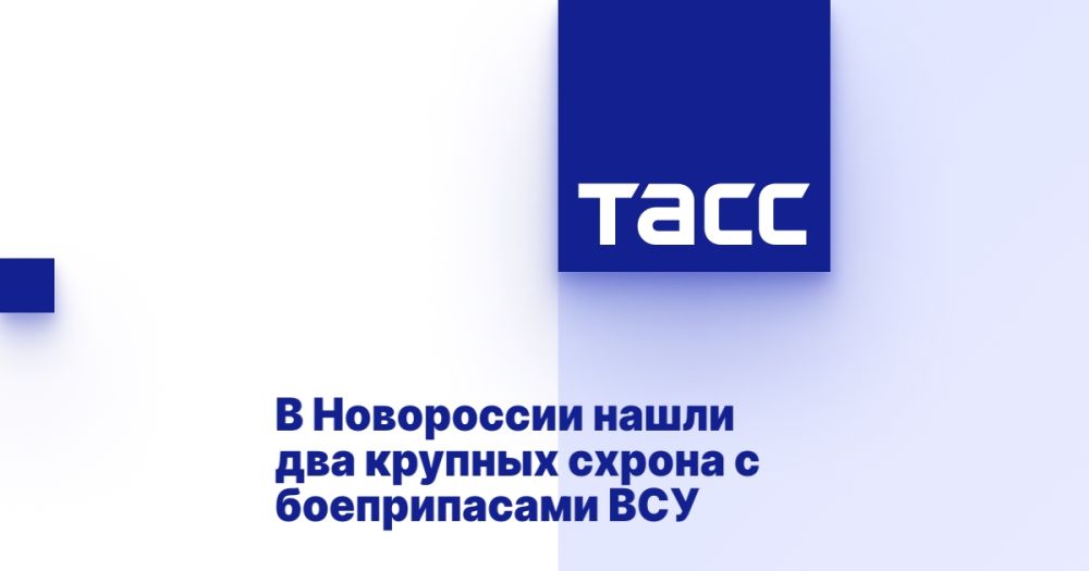 В Новороссии нашли два крупных схрона с боеприпасами ВСУ