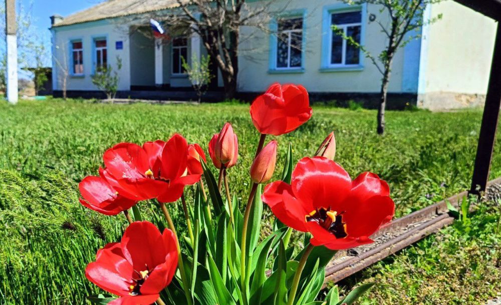 Сегодня завершаем день всплеском алых тюльпанов