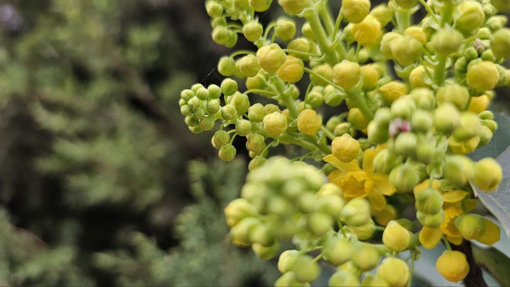 В Херсонской области 17 апреля прогнозируют до 23 градусов тепла