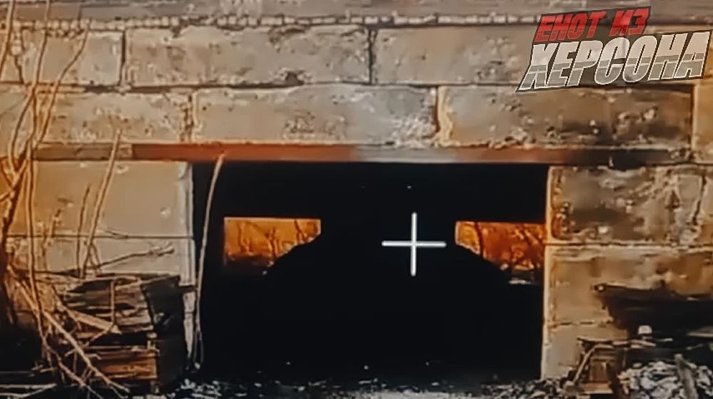 ���� �� �������: ������ � �����. ������� ����� ���������� ������ ������ ������ ���������� �� ������ ������ ������