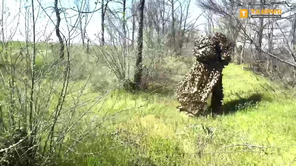 Снайперская пара группировки войск "Днепр" сорвала ротацию противника, уничтожив наблюдателя ВСУ
