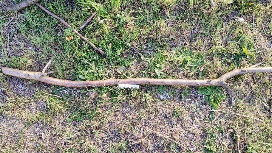 Деревянный прут и много алкоголя