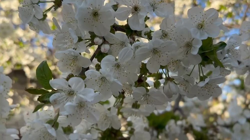 Сегодня — Страстная пятница: время размышлений и подготовки к Пасхе