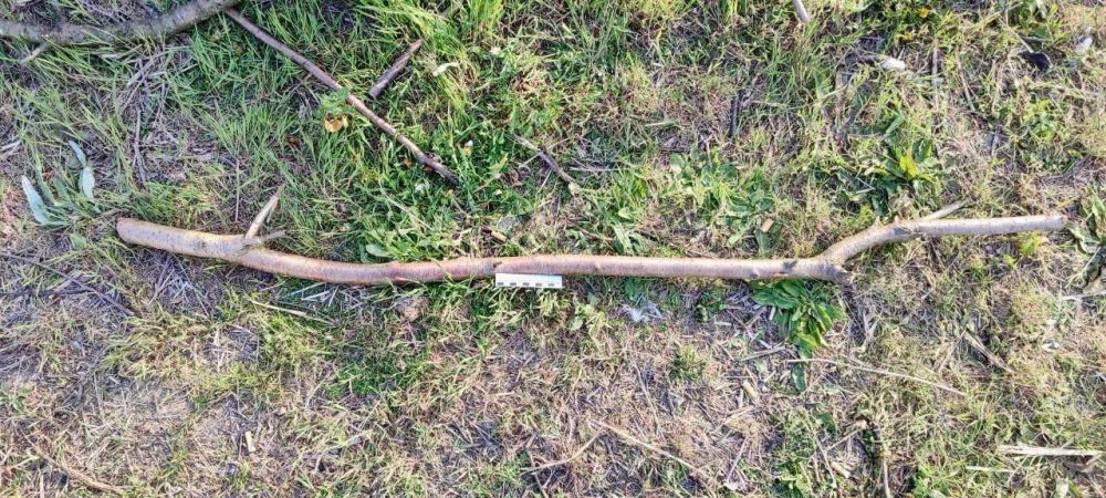 Житель Генического округа задержан по подозрению в причинении смертельных телесных повреждений своему знакомому