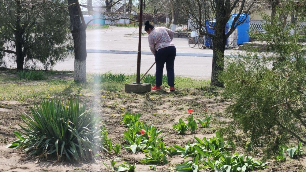 � ����������� �������� ���� �������� � ������������� �� ������ ����������