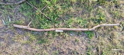 В Геническом районе задержан мужчина, подозреваемый в причинении местному жителю смертельных телесных повреждений