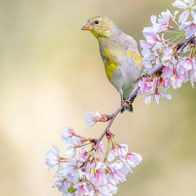 . ��� ��� ������ ����� � ������ , ��� ������ � ����� � ����� � ���