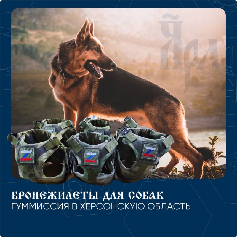 «Руководство компании «Ярл» решило безвозмездно предоставить необходимое количество комплектов для оснащения служебных собак...»