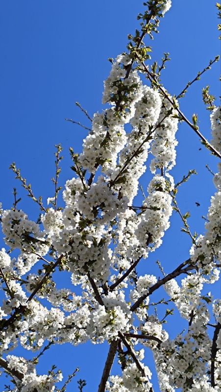 С добрым утром, Малокаховка!