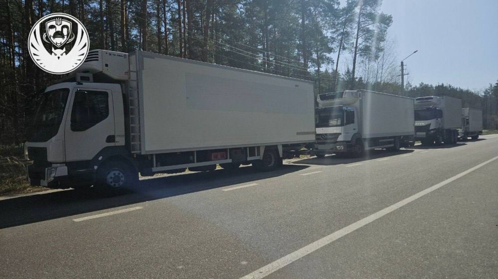 В Украину вернули тела 909 погибших боевиков, сообщил Залужный