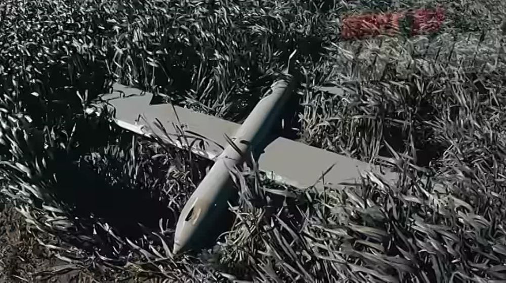 Енот из Херсона: В Херсонской области обезврежен БПЛА ВСУ