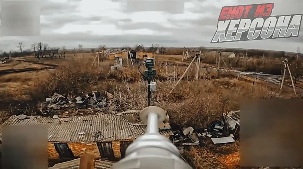 Енот из Херсона: Тульские десантники уничтожают личный состав и технику ВСУ в Курском приграничье