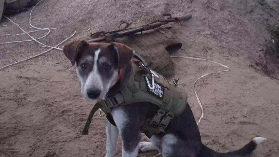 ���������� ������ �� ���������� ������� �������� ���������� ������ �� �������� �������