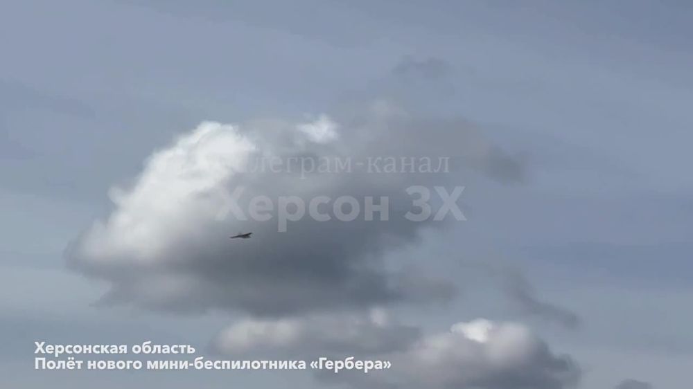 На Херсонском фронте засветился невидимка-универсал – БПЛА самолетного типа "Гербера"!