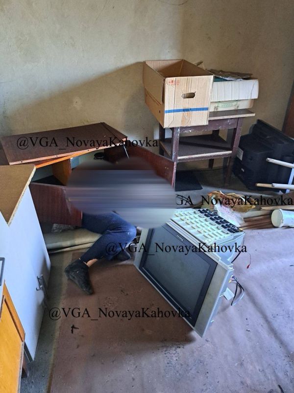 ������� ����: ����� � �������� (������� ����) �. �������� � ���������� ��������� ��������