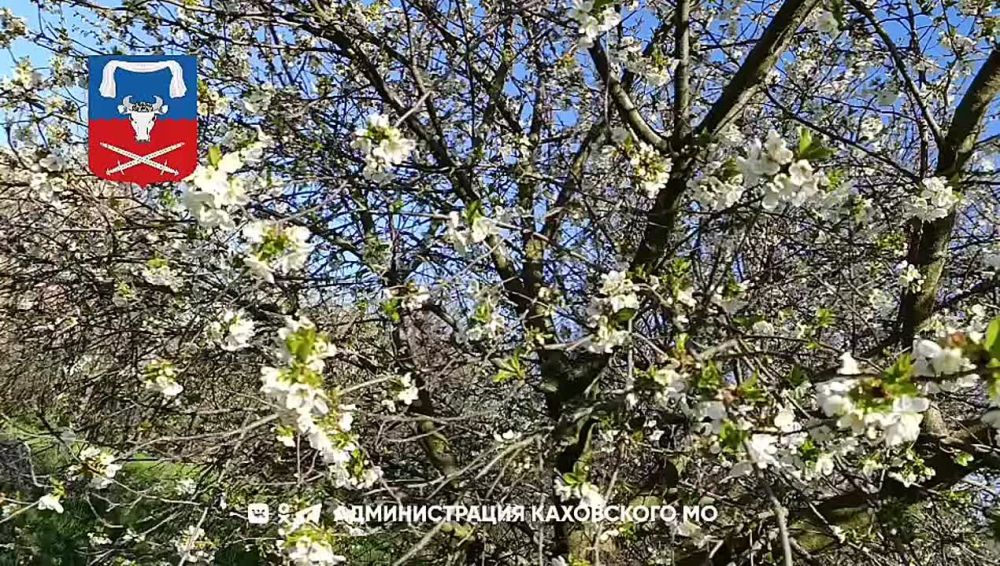 Доброе утро, жители Каховского муниципального округа!