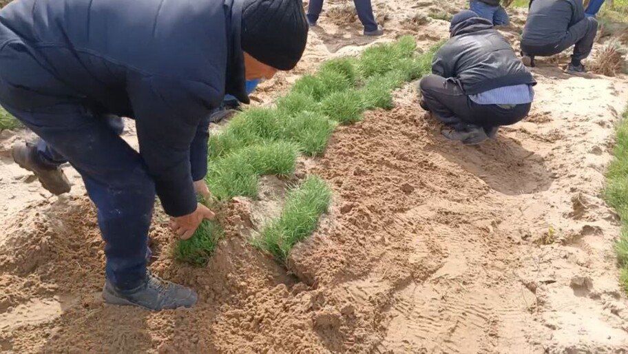 ��������� ���� ������������ ����� ������ ���������� � ������� ������� ����� ��������