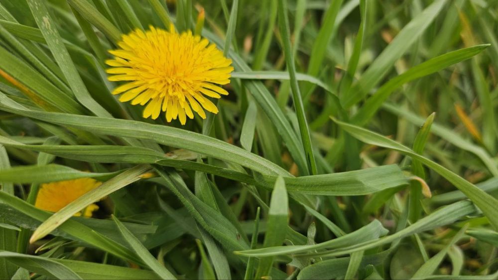 В Херсонской области в пасхальную субботу обещают до 20 градуса тепла