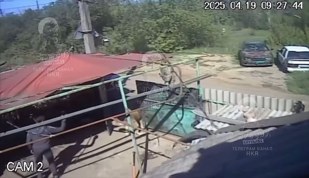 ������ �������� ������ ������� �� ���������� ���, ����������� �������� ������� ����������