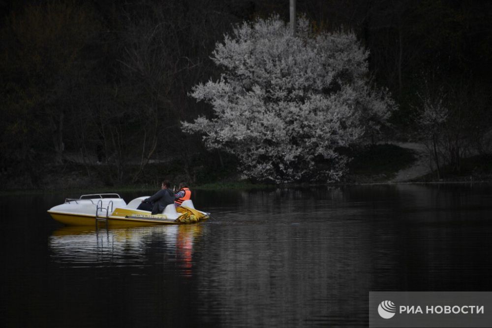 ������ �� ����� ����������� ������