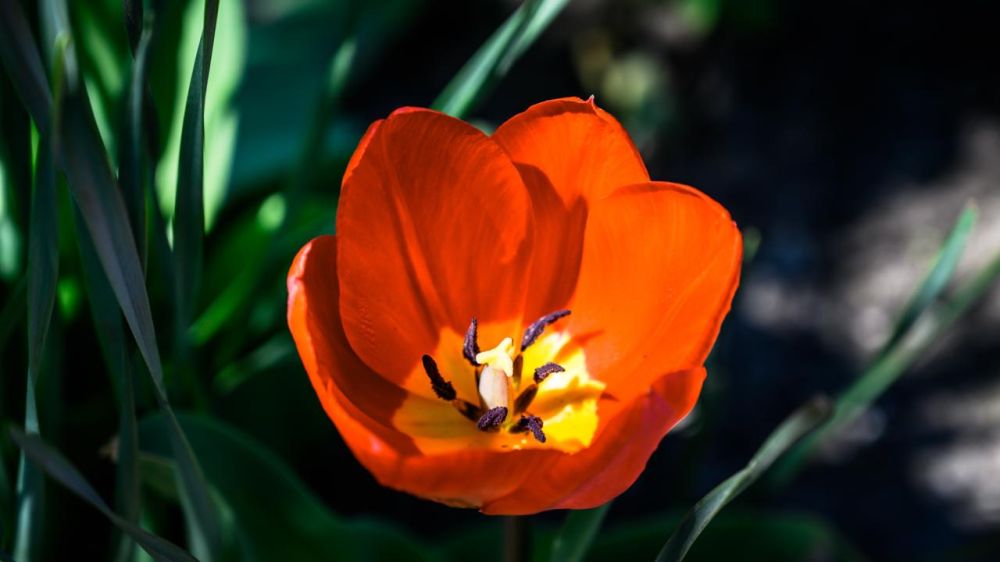 �������� ������: ����� �������-�� �������� � ���� ����� �� ����������