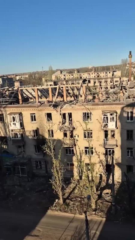 Енот из Херсона: Такого не было с 2022: Видео из Артёмовска от российского бойца