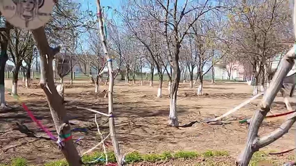 ������ ������������� ����� ������� ���������� ���������