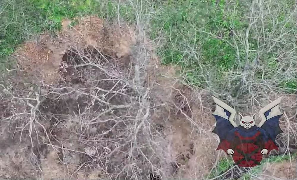 Енот из Херсона: Наши операторы оставили украинских боевиков без снарядов и позиций