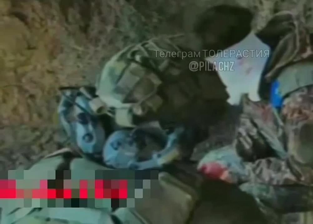 Наши взяли в плен ВСУшницу Ярославу Полищук на Херсонском направлении