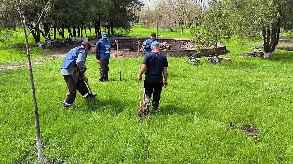 По распоряжению секретаря местного отделения партии "Единая Россия" Юрия Турулева и председателя совета депутатов Игоря Таранова, активисты "Единой России" Горностаевского округа продолжают высадку молодых деревьев с....