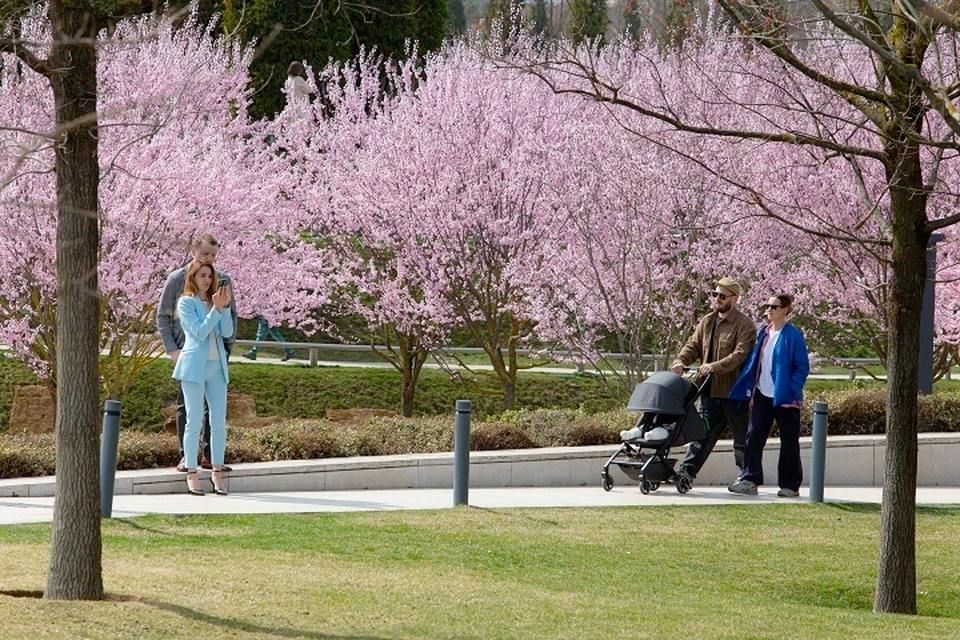 В Херсонской области выбирают места для благоустройства в 2026 году