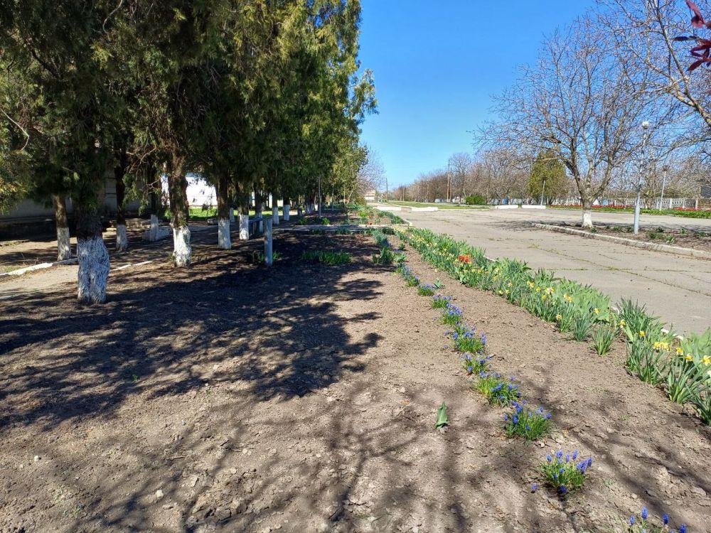 ����������������� ������������� ����� �������������� � ����� ��� �� ������ӻ