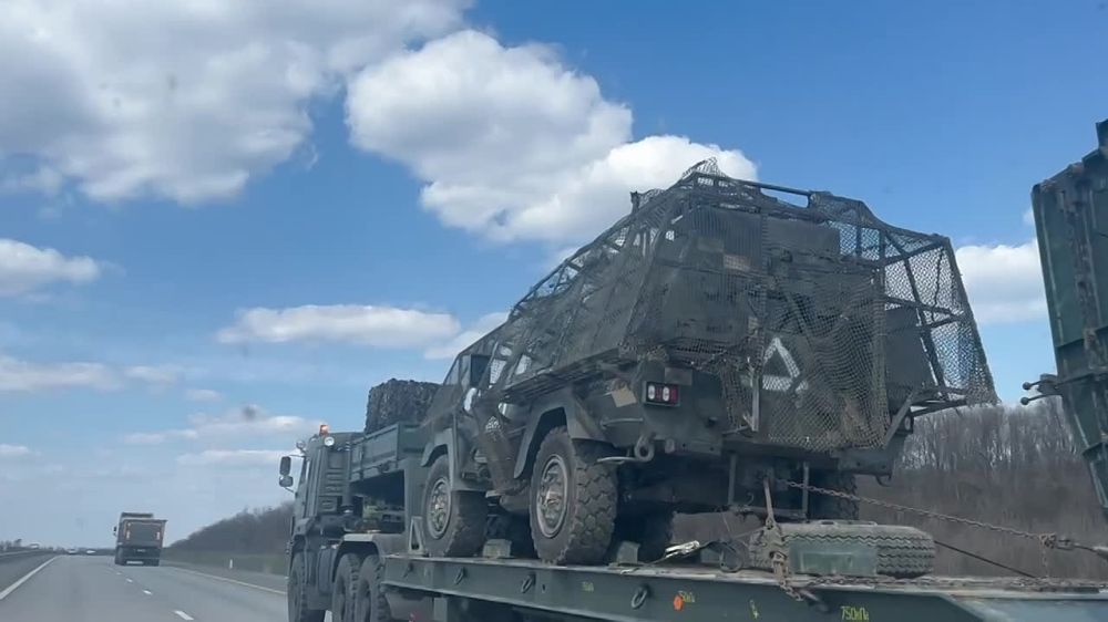 ���� �� �������: ������ �� �� - ������ ��������������� ���������-���������� ���������� Oncilla 4�4 l2014-UD, ���������������� �� ���� ����������� ��������������� ������-��: