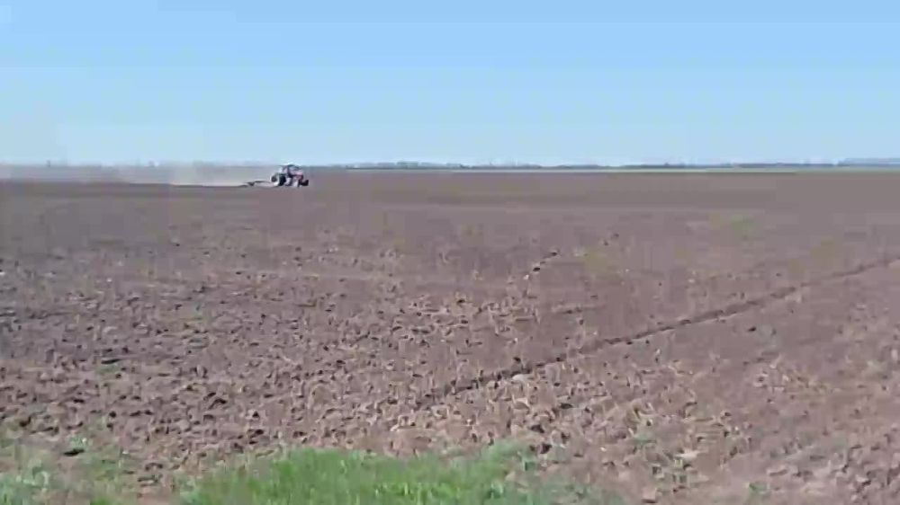 Сотрудники отдела сельского хозяйства продолжают активно мониторить ситуацию по весенним полевым работам