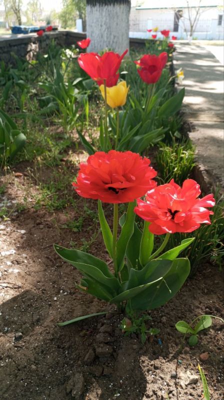 Уважаемые жители. с. Малокаховка!