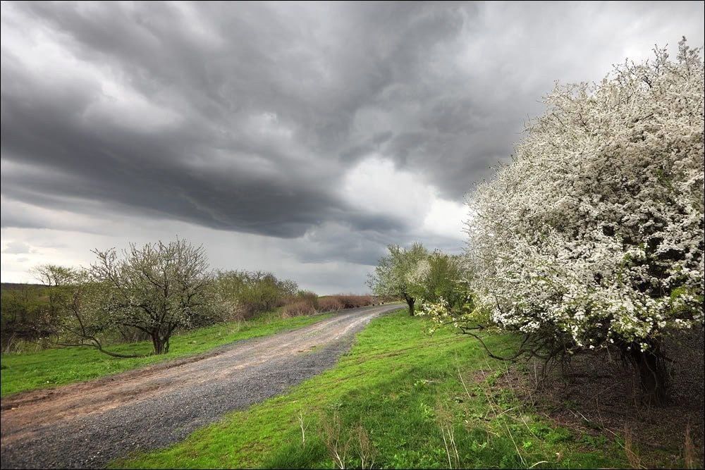 В Херсонской области ожидаются дожди и грозы в понедельник 21 апреля