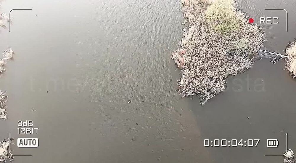 �� ��������� ����������� ���!