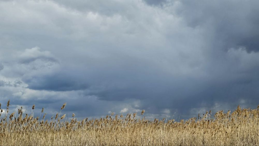 В Херсонской области ожидаются дожди и грозы в понедельник, 21 апреля