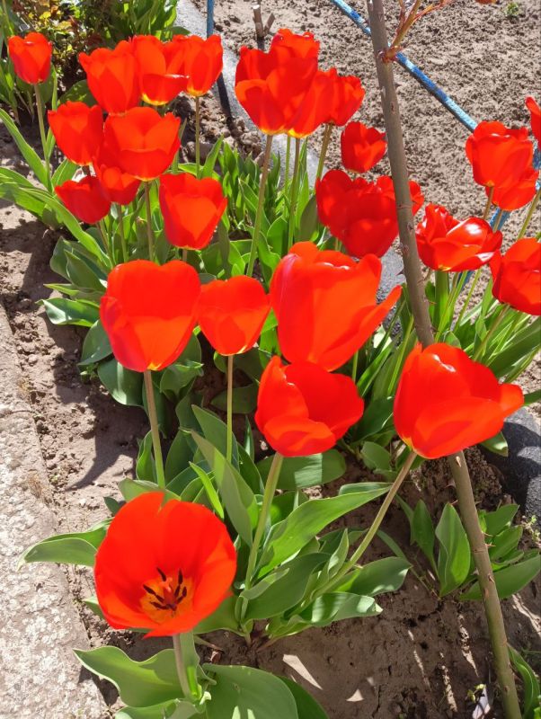 Посмотрите, какая красота!