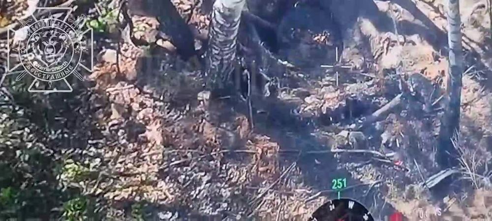 Енот из Херсона: Бои в Сумской области: минометный расчет ВСУ до и после встречи с барражирующим боеприпасом Северян