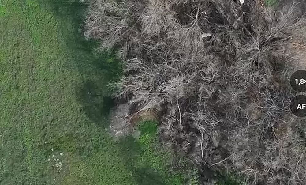 ��������� ������ ���������� ���������� ������� ��������� � �� ������ � ��